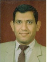 Mahfouz Mohamed Mostafa Abd-Elgawad